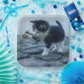 Kitten Pappteller (Party)