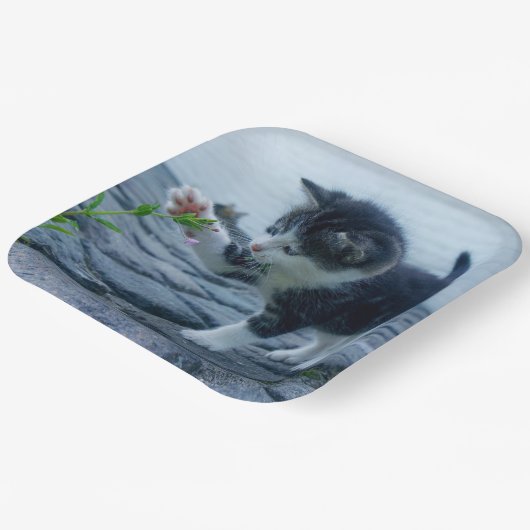 Kitten Pappteller (Gewinkelt)