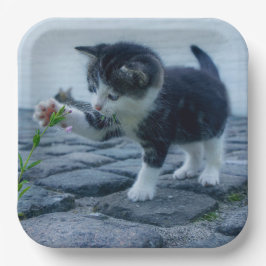 Kitten Pappteller