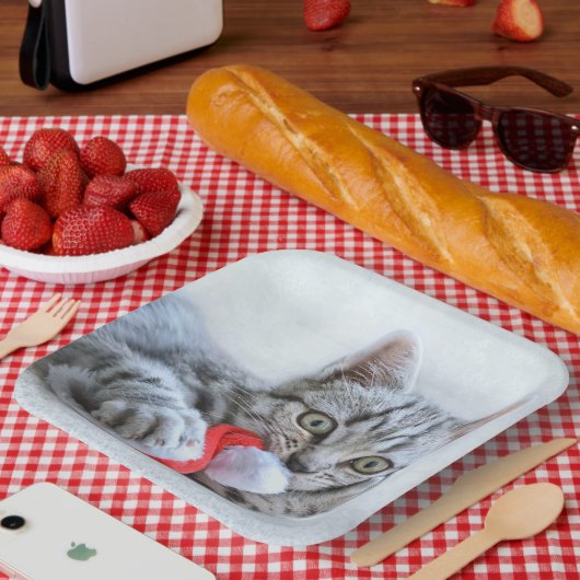 Kitten Pappteller (Picknick)