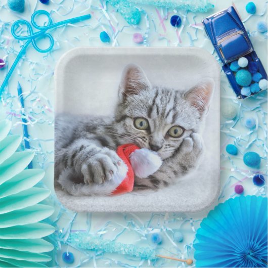 Kitten Pappteller (Party)