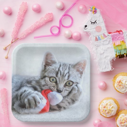 Kitten Pappteller (Party)