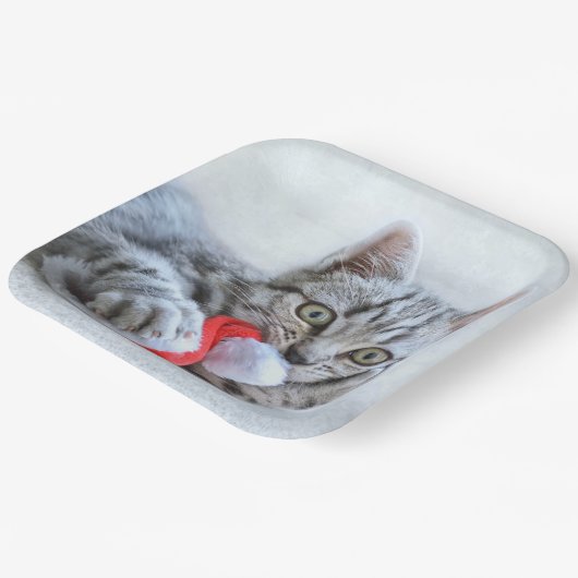 Kitten Pappteller (Gewinkelt)