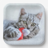 Kitten Pappteller (Vorderseite)