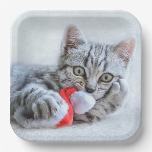 Kitten Pappteller (Vorderseite)