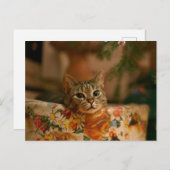 Kitten peeking hinter dem Christmas tree Postkarte (Vorne/Hinten)