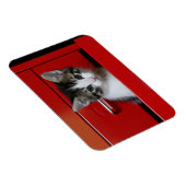 Kitten Peeking Magnet (Rechte Seite)