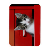Kitten Peeking Magnet (Vertikal)