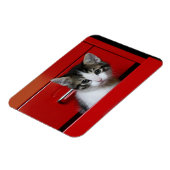 Kitten Peeking Magnet (Linke Seite)