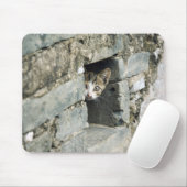 Kitten Peeking out Wall, Yangshuo, Guangxi Mousepad (Mit Mouse)