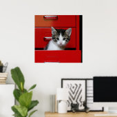 Kitten Peeking Poster (Heimbüro)