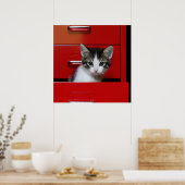 Kitten Peeking Poster (Küche)