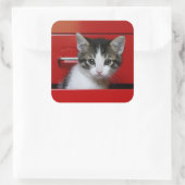 Kitten Peeking Quadratischer Aufkleber (Tasche)