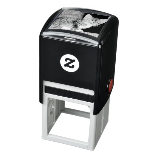 Kitten Permastempel (Produkt)