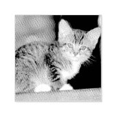 Kitten Permastempel (Design)