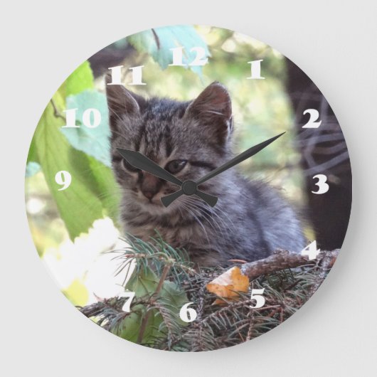 Kitten Photo Baby Cat Wall Clock Große Wanduhr (Vorderseite)