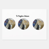 Kitten Photo Text Name,  Replace,  Geschenkpapier Set (Vorderseite 3)