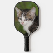Kitten Pickleball Schläger (Vorderseite)