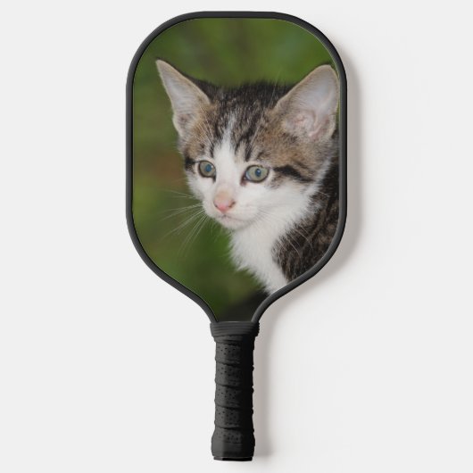 Kitten Pickleball Schläger (Rückseite)