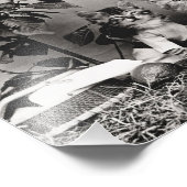 Kitten Picnic Fotodruck (Ecke)