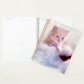 Kitten Planer (Anzeige)