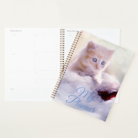 Kitten Planer (Anzeige)