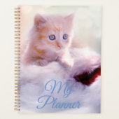 Kitten Planer (Vorderseite)