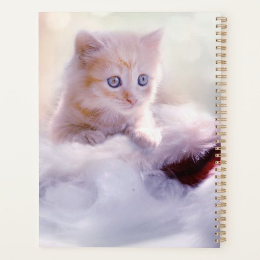 Kitten Planer (Rückseite)