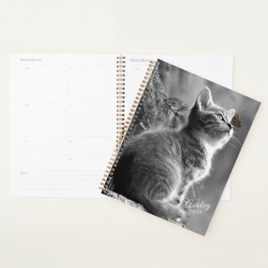 Kitten Planer (Anzeige)