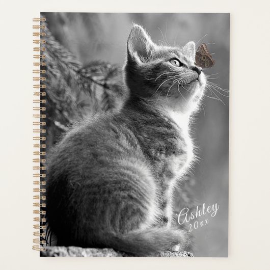 Kitten Planer (Vorderseite)