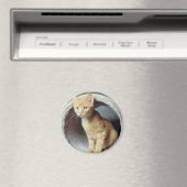 Kitten Play Tunnel Magnet (In Situ (Geschirrspüler))