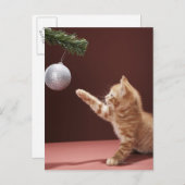 Kitten Playing mit Ornament Postkarte (Vorne/Hinten)