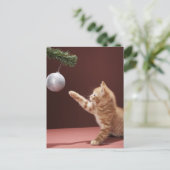 Kitten Playing mit Ornament Postkarte (Stehend Vorderseite)