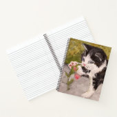 Kitten Playing mit rosa Blume Notizblock (Innenseite)