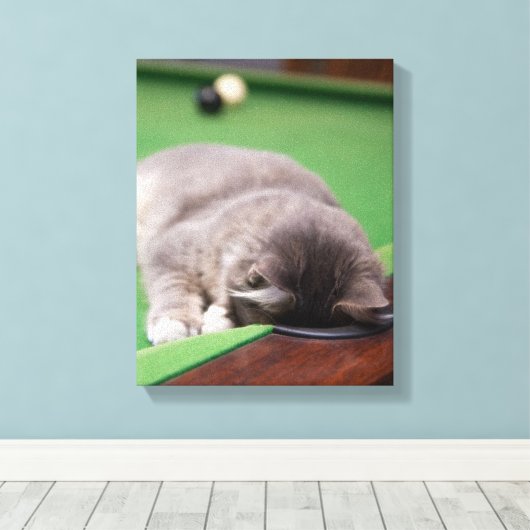 Kitten-Pool Leinwanddruck (Insitu (Holzboden))