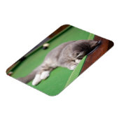 Kitten-Pool Magnet (Linke Seite)