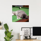 Kitten-Pool Poster (Heimbüro)