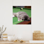 Kitten-Pool Poster (Küche)