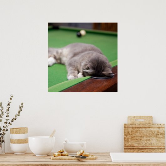 Kitten-Pool Poster (Küche)