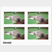 Kitten-Pool Rechteckiger Aufkleber (Blatt)