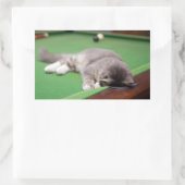 Kitten-Pool Rechteckiger Aufkleber (Tasche)