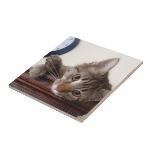 Kitten Portrait Fliese (Seite)