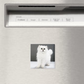 Kitten Portrait Magnet (In Situ (Geschirrspüler))