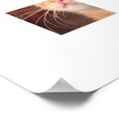 Kitten Poster (Ecke)