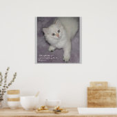 Kitten Poster (Küche)