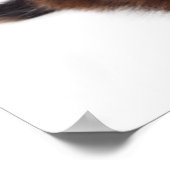 Kitten Poster (Ecke)