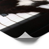 Kitten Poster (Ecke)