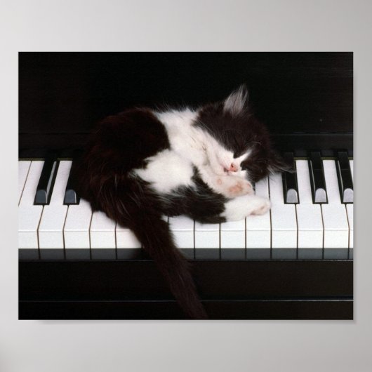 Kitten Poster (Vorne)