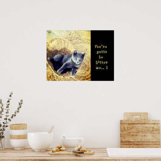 Kitten  poster (Küche)