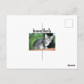 Kitten Postkarte (Rückseite)